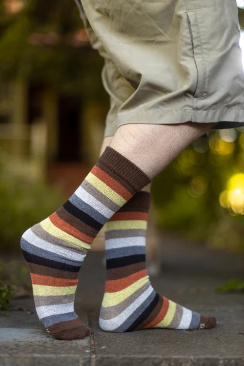 Bear Pride Stripes Crew Tube Socks - Image 3