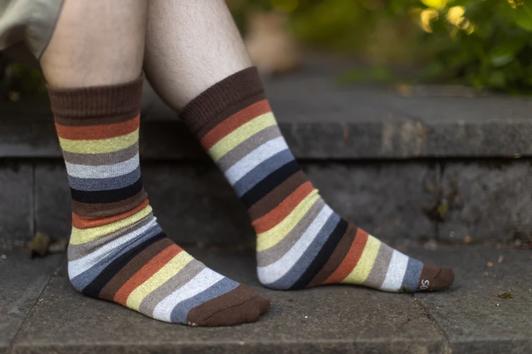 Bear Pride Stripes Crew Tube Socks - Image 4