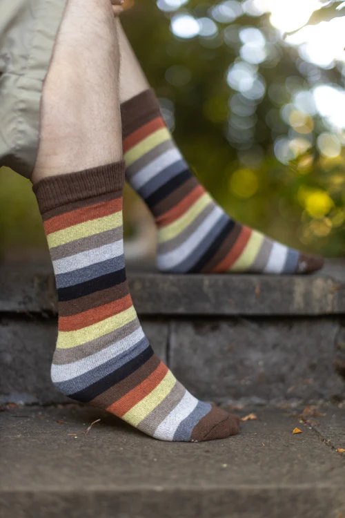 Bear Pride Stripes Crew Tube Socks - Image 5