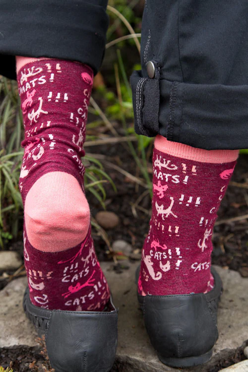 Cats! Crew - Image 5