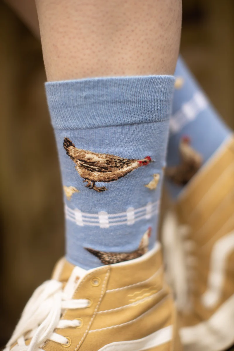 Chickens Crew - Image 3