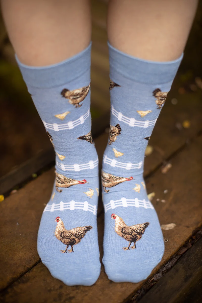 Chickens Crew - Image 4