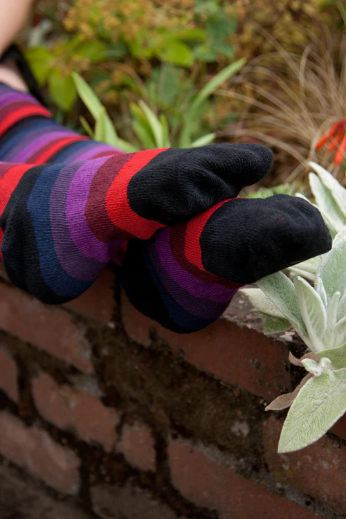 Dreamy Knees - Image 4